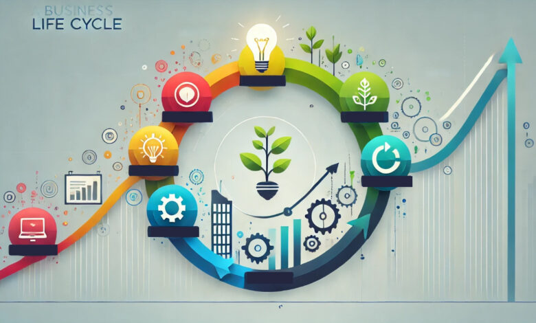 The Business Life Cycle 7 Stages Explained